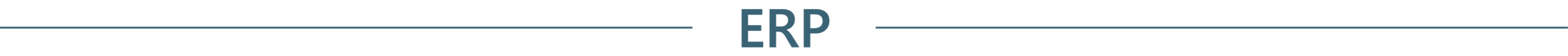 Centered text ‘ERP’ in uppercase letters, flanked by two horizontal lines on each side, set against a white background. By ITVT.