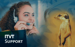 Eine Frau mit einem Headset telefoniert, begleitet von einem ErdmÃ¤nnchen, das neben ihr steht.