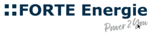 FORTE Energie-Logo mit zwei dunkelblauen quadratischen Symbolen auf der linken Seite, gefolgt vom fettgedruckten dunkelblauen Schriftzug â€žFORTE Energieâ€ und dem kursiv gedruckten grauen Schriftzug â€žPower 2 Youâ€ auf weiÃŸem Hintergrund mit dunkelblauem Rand.